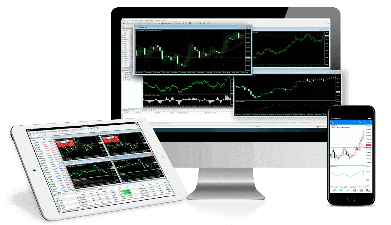 forex trading signals